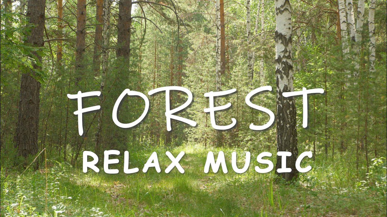 Best of Antent, Music Mix | Most Beautiful ✨ Space Ambient Music. Outer Space. Deep Relaxation смотреть онлайн