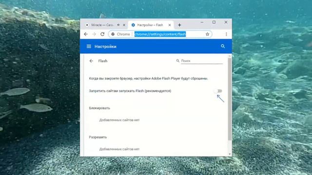 Поддержка Flash Player будет прекращена — как отключить уведомление в Google Chrome смотреть онлайн
