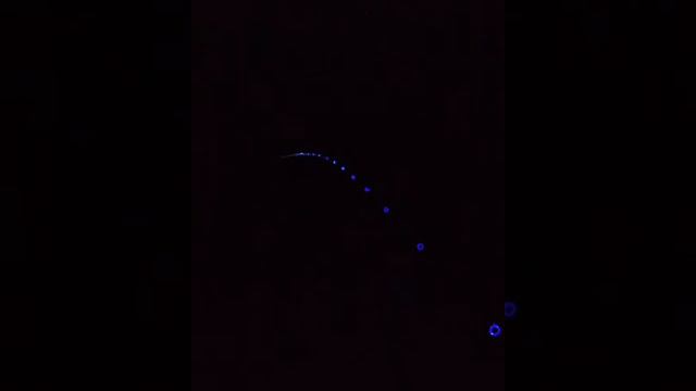Фонарь с синим светом на ночной рыбалке смотреть онлайн