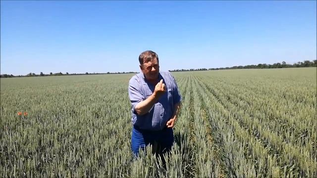 Водопьянов С.С. про борьбу с мышами смотреть онлайн