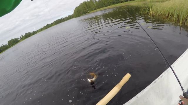 Щучий Vlog Vol. 3 Рыбалка в Финляндии. Довольные коты. Щучка около трёшки. смотреть онлайн