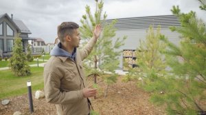 НАВЕС И БЕСЕДКА С ПЛОСКОЙ КРЫШЕЙ В СТИЛЕ ХАЙТЕК. Навес для двух автомобилей с гаражом и хозблоком.