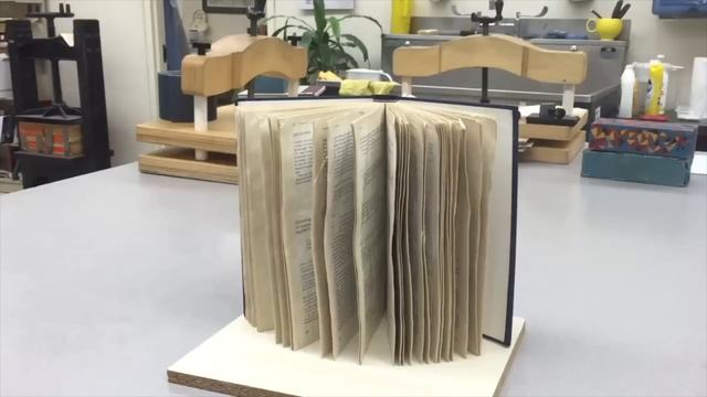 Wet Book Rescue смотреть онлайн