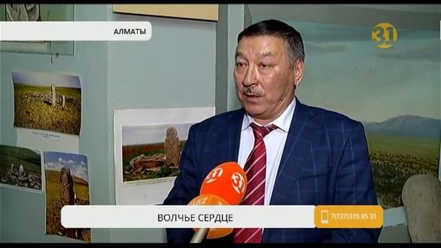 Казахстанцев шокировали кадры, на которых охотники поедают сырое волчье сердце смотреть онлайн