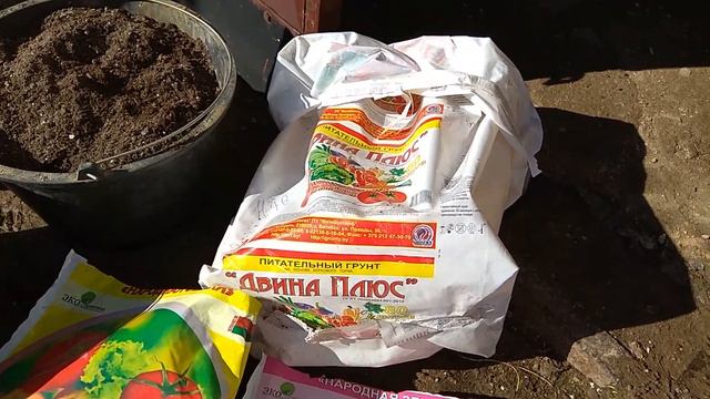 Подготовка земли для доращивания саженцев винограда весной/ Preparation Of Land Substrate For Grape