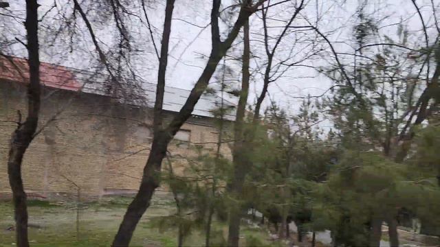 1 марта 2024 г. смотреть онлайн