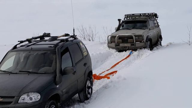 Шнива и ТЛК смотреть онлайн
