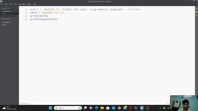 Python Variable and Literals смотреть онлайн