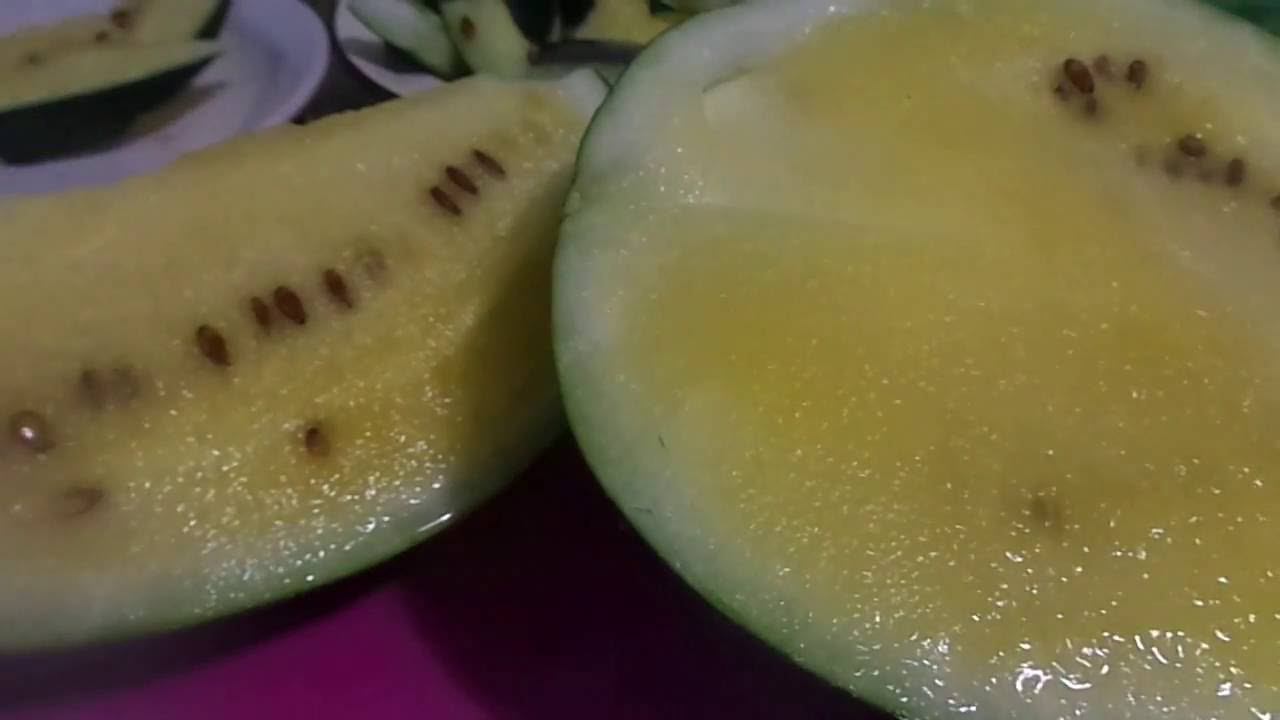 Урожай Арбузов с Желтой Мякотью на Урале.. смотреть онлайн