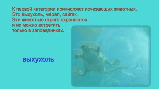 Разнообразие природы родного края, окружающий мир, 3 класс смотреть онлайн