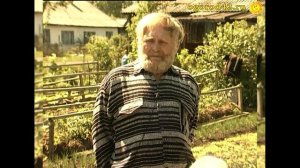 Этот сорт не подведет!Томат Никола в открытом грунте.