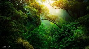 Музыка Земли