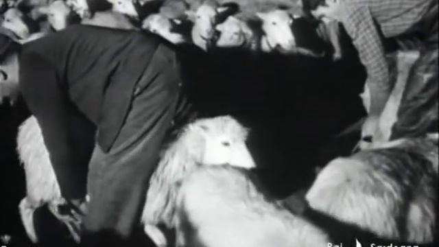 Dentro la Sardegna 1968 - 1° e 2° Puntata - Documentario di Giuseppe Lisi смотреть онлайн