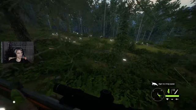 The HUNTER Call of the wild прохождение симулятора охоты купил собаку смотреть онлайн