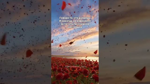 Жить будет не легче, но, гораздо содержательнее