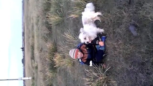 прикол собака оттрахала пацанчика