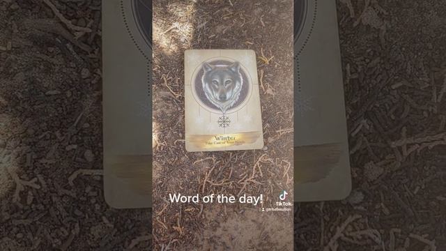 Word of the day! Self-love! #oracle #tarot ##generalreading #dailyreading #oraclereading #pagan смотреть онлайн