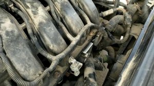 Замена уплотнительного кольца патрубка двигателя Renault 1.4/1.6/2.0 K4J/K4M/F4R