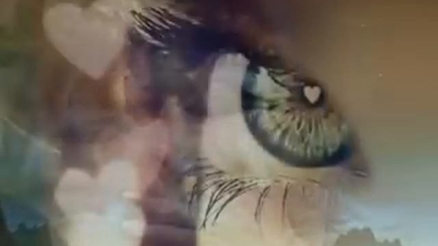 Арвид Царапинки....wmv