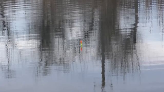 НОВЫЙ ПОПЛАВОК КАРАСЬ В РОГОЗЕНОВЫЙ ПОПЛАВОК КАРАСЬ В РОГОЗЕ смотреть онлайн