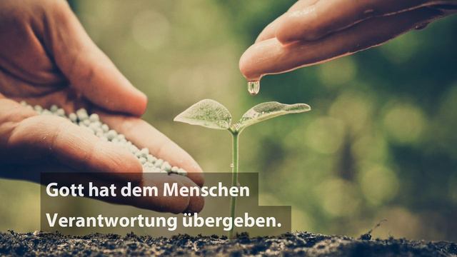 Jenseits im Islam (Ahira). Das Leben nach dem Tod. смотреть онлайн