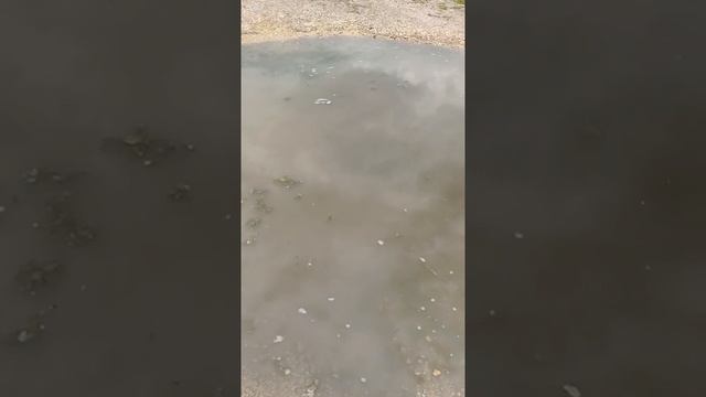 Сонник Лужа во снах.mp4 смотреть онлайн