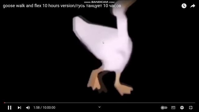 Duck Goes For A Walk.