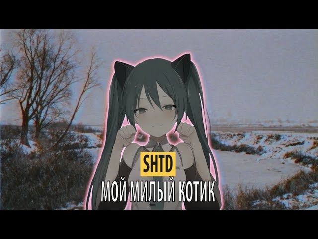 shtd - мой милый котик смотреть онлайн