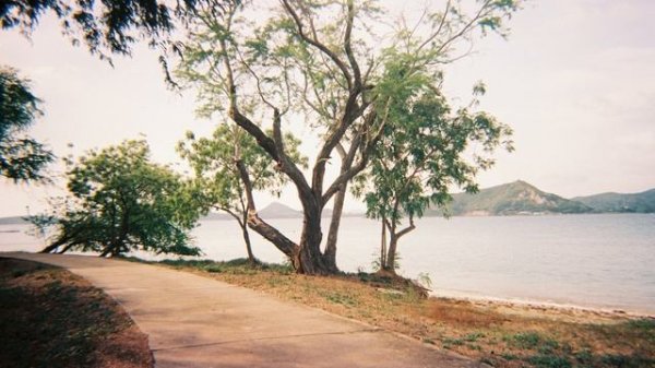 Kodak M35 with Kodak Vision3 250D