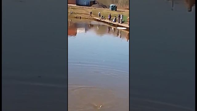 12 апреля 2023 г. смотреть онлайн