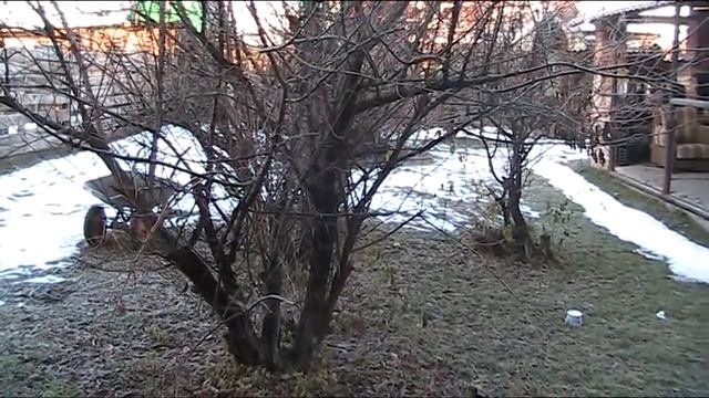 ПРОСТЕЙШАЯ СИСТЕМА ВОДОСНАБЖЕНИЯ ДОМА ПОД ДАВЛЕНИЕМ! Горячая вода от котла, через радиатор в бойлер смотреть онлайн