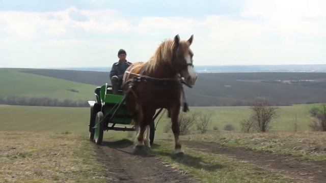 LIL NAS X - OLD TOWN ROAD ПЕРЕВОД НА РУССКОМ смотреть онлайн