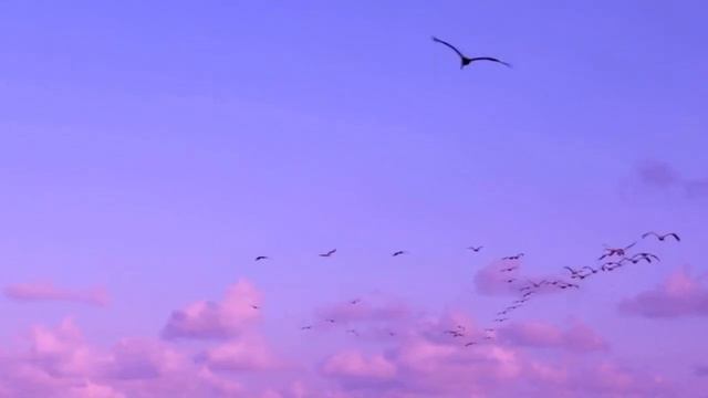 Песня о Сибири Стихи и музыка М. Гладковой, Аранжировка Н. Рыжова, поёт Г. Погорельская смотреть онлайн