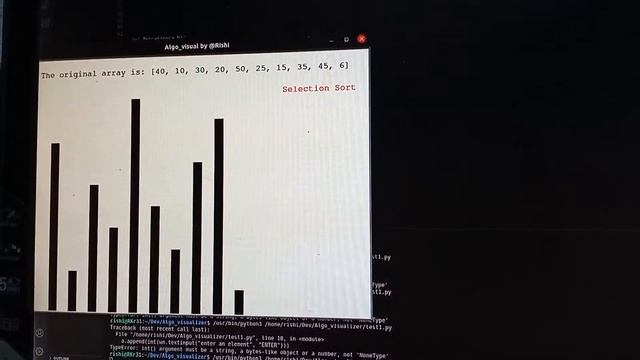 "Algo Visualiser" : Using Turtle Python (Demo: Selection Sort") смотреть онлайн