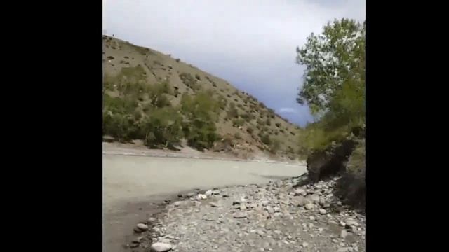 Поездка на Яровое и в Горный Алтай 2022 год смотреть онлайн