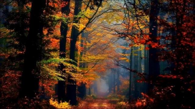 Pachelbel in the Garden (relaxing music, sounds of nature) смотреть онлайн