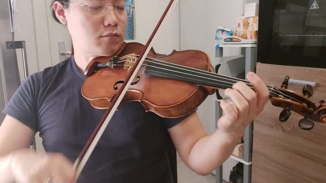 Various directions of vibrato oscillation - Mozart #4 смотреть онлайн