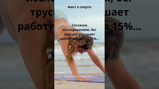 Интересный факт о спорте #спорт #зож #здоровоепитание #факты смотреть онлайн