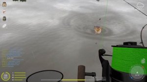 #рр4 #русская рыбалка 4 озеро Янтарное #фарм с рогаткой или спод! 26.11.22