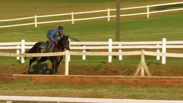 Alisio (ex Eastern Breeze) смотреть онлайн