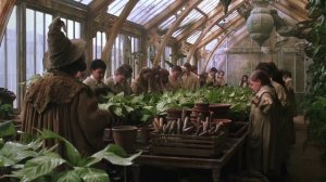 "ОРУЩАЯ МАНДРАГОРА". Гарри Поттер и тайная комната (2002)