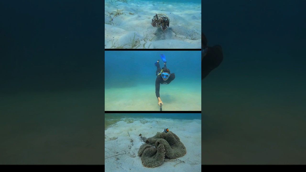 Экскурсии на острова из Паттайи. Ко Куд, Самет и Ко Чанг. смотреть онлайн