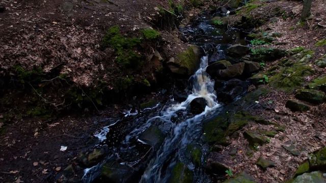 Звуки природы (ручей) смотреть онлайн