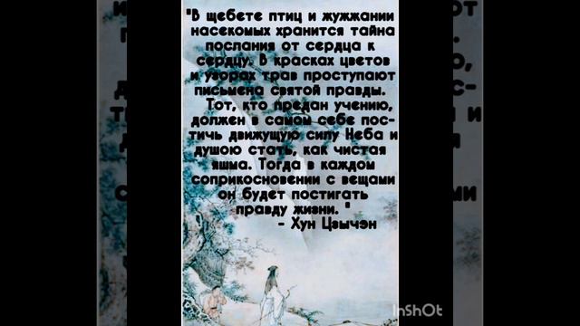 Неизреченное в слове: мудрость Китая. [Читает Артур Меречин].