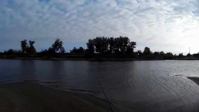 Выезд на реку Ахтуба за хищником на спиннинг. смотреть онлайн