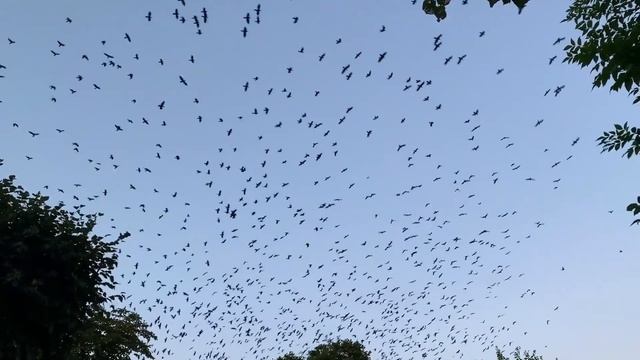 Желание для полета - стихи для души смотреть онлайн