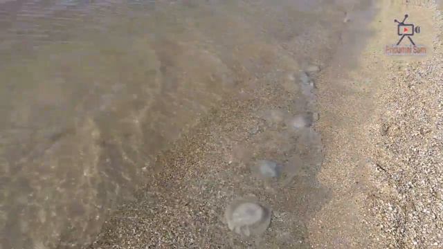 Отдых на Бердянской косе смотреть онлайн