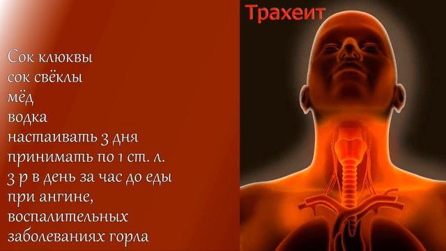 Лечебные свойства и полезные советы