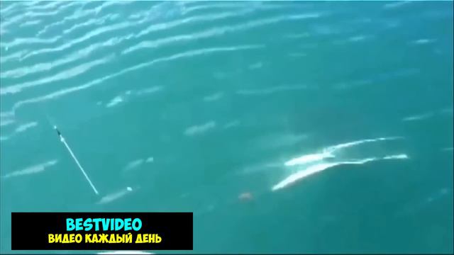 Мужской улов \ Male catch смотреть онлайн