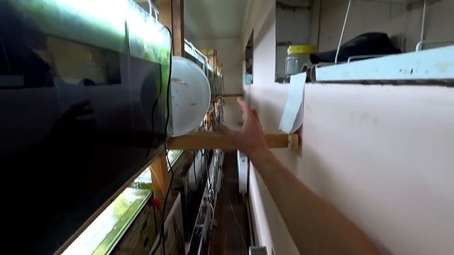 Тепличка и Авто - система слива воды смотреть онлайн
